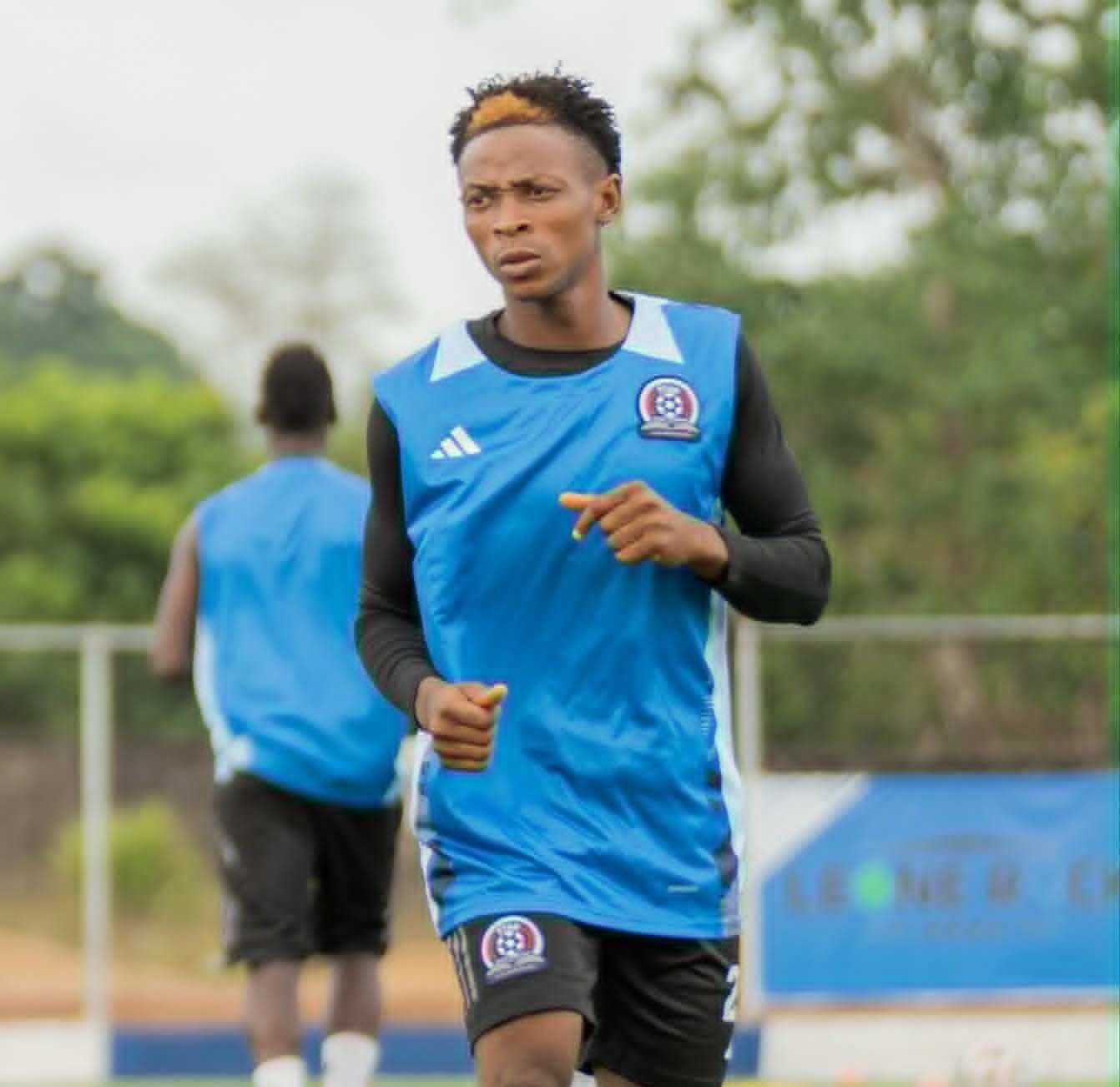 Goje Daramy No 22